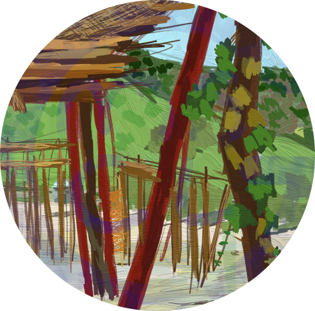 Angolan Beach - July 2021 - Copyright © Sharon Austin. All rights reserved.