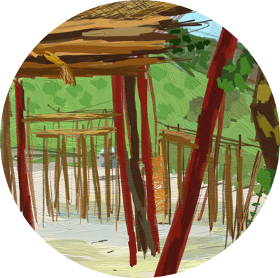 Angolan Beach - July 2021. Copyright © Sharon Austin. All rights reserved.