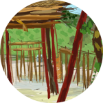 Angolan Beach - July 2021. Copyright © Sharon Austin. All rights reserved.